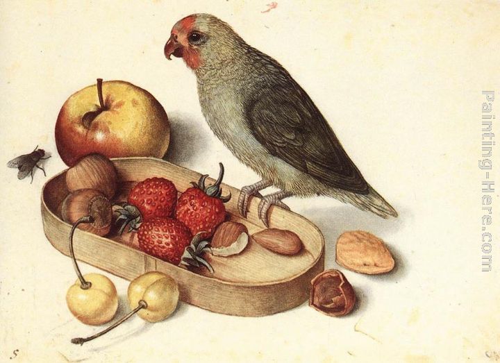 Still-Life with Pygmy Parrot painting - Georg Flegel Still-Life with Pygmy Parrot art painting
